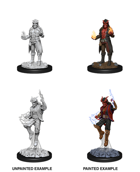 Tiefling sorcerer ( Male ) - D&D Nolzurs Marvelous Miniatures image 0
