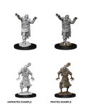 Scarecrow & Stone Cursed - D&D Nolzurs Marvelous Miniatures image 0
