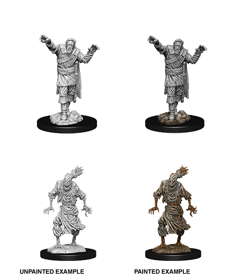Scarecrow & Stone Cursed - D&D Nolzurs Marvelous Miniatures image 0